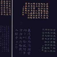 Guqin Education Specialist Peng Lee